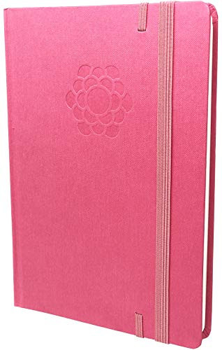The Ultimate Agenda & Daily Planner to Boost Productivity, Hit Your Goals in 2019 - Goal Setting Journal - Personal Weekly Planner, Organizer - Undated,Pink