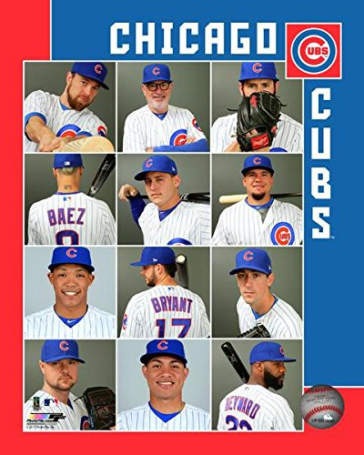 Chicago Cubs 2017 Team Composite Photo -Size: 8" x 10"-