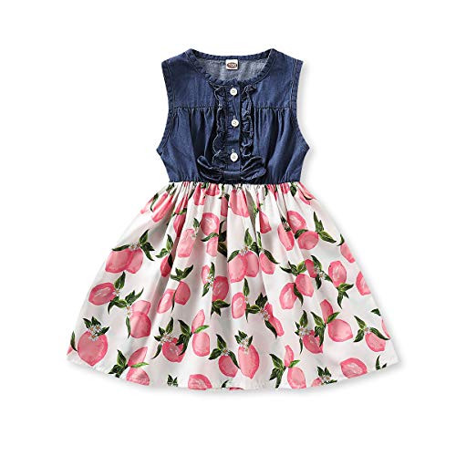 PROBABY Baby Girl Dress Toddler Girl Clothes Infant Baby Denim Skirt Flower Girl Dress 12Months-18 Months Clothes Girl Pink PROBABY Baby Girl Dress Toddler Girl Clothes Infant Baby Denim Skirt Flower Girl Dress 12Months-18 Months Clothes Girl Pink