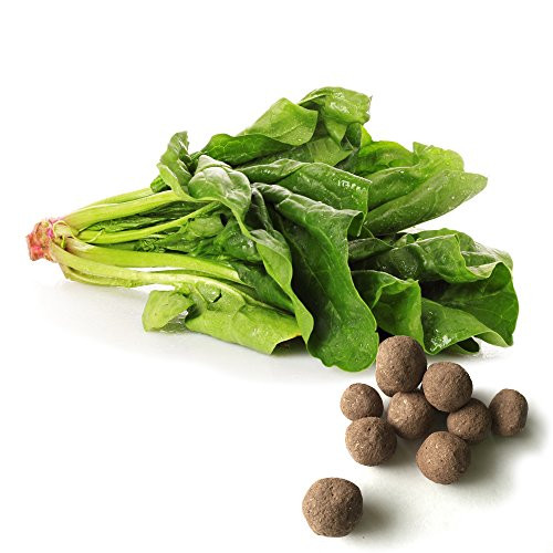 20 Spinach Seed Balls -Giant Noble-- Herb and Vegetable Seed Bombs to Make Gardening Fun and Simple 20 Spinach Seed Balls -Giant Noble-- Herb and Vegetable Seed Bombs to Make Gardening Fun and Simple