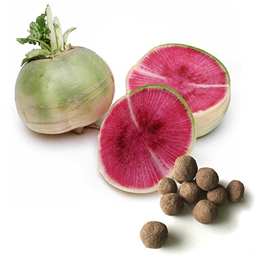 Watermelon Radish Seed Balls -Pack of 20- - Herb and Vegetable Seed Bombs to Make Gardening Fun and Simple Watermelon Radish Seed Balls -Pack of 20- - Herb and Vegetable Seed Bombs to Make Gardening Fun and Simple