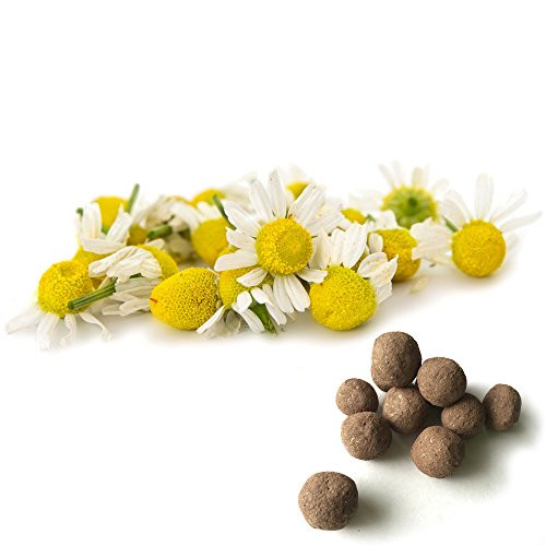 Chamomile Seed Balls -German Chamomile, Pack of 20-- Herb  and  Vegetable Seed Bombs to Make Gardening Fun and Simple