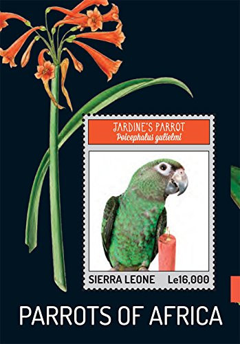 Sierra Leone Post Parrots of Africa 2013 Stamp Souvenir Sheet