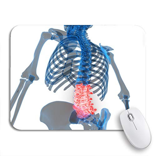 Adowyee Gaming Mouse Pad Spinal Cord Lumbar Vertebrae Part of Human Skeleton Anatomy 9.5"x7.9" Nonslip Rubber Backing Mousepad for Notebooks Computers Mouse Mats