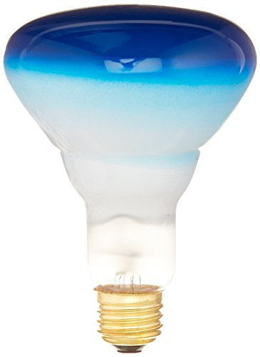 Bulbrite Incandescent BR30 Medium Screw Base -E26- Light Bulb, 75 Watt, Blue