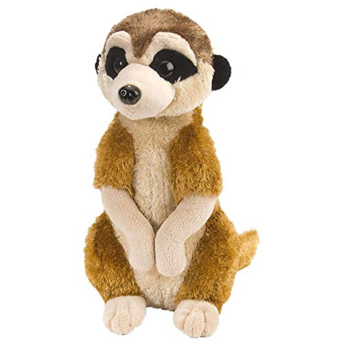 Wild Republic Meerkat Plush, Stuffed Animal, Plush Toy, Gifts For Kids, Cuddlekins 8 Inches Wild Republic Meerkat Plush, Stuffed Animal, Plush Toy, Gifts For Kids, Cuddlekins 8 Inches