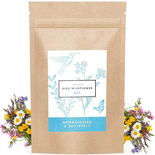 Bird and Butterfly Wildflower Pollinator Mix - 65,000 plus Seeds Perennial and Annual Flowers - Planting Outdoors for Hummingbirds and More - Calendula, Yarrow, Poppy, Baby's Breath... Bird and Butterfly Wildflower Pollinator Mix - 65,000 plus Seeds Perennial and Annual Flowers - Planting Outdoors for Hummingbirds and More - Calendula, Yarrow, Poppy, Baby's Breath...