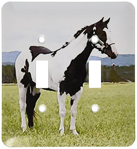 3dRose lsp_672_2 Paint Horse - Double Toggle Switch