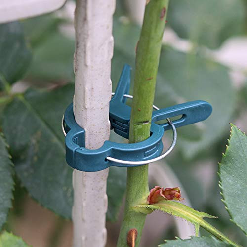 Anntool 40Pcs Plant Support Clips for Gardening, 2 Sizes Adjusting Garden Plant Clips, Reusable Supporting Stems Clips for Flower Vine Vegetables Tomatoes Climbing, Spring Garden Tools