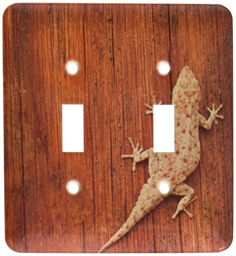 3dRose lsp_73116_2 Tokay Gecko lizard, Striated Wood, Africa Double Toggle Switch