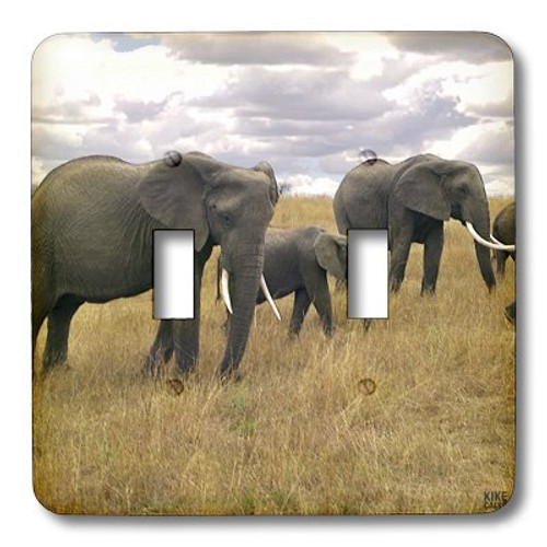 3dRose lsp_9899_2 African Elephant, Loxodonta Africana, Masai Mara National Park Kenya Africa 5 Double Toggle Switch 3dRose lsp_9899_2 African Elephant, Loxodonta Africana, Masai Mara National Park Kenya Africa 5 Double Toggle Switch