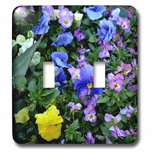 3dRose lsp_110115_2 A Wall Of Purple Pansies Double Toggle Switch Multicolor
