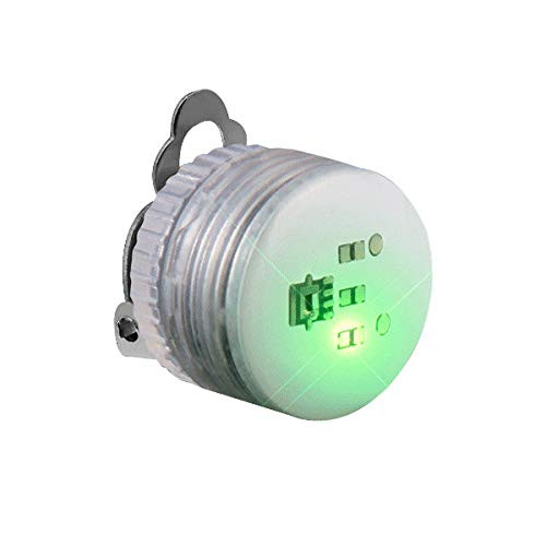 blinkee Jade Steady Clip by