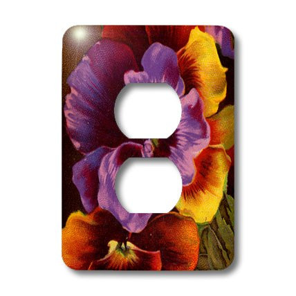3dRose lsp_26071_6 Pansies In Purple And Gold 2 Plug Outlet Cover
