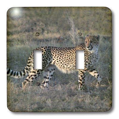 3dRose LLC lsp_20112_2 South African Cheetah Trotting Side View Double Toggle Switch