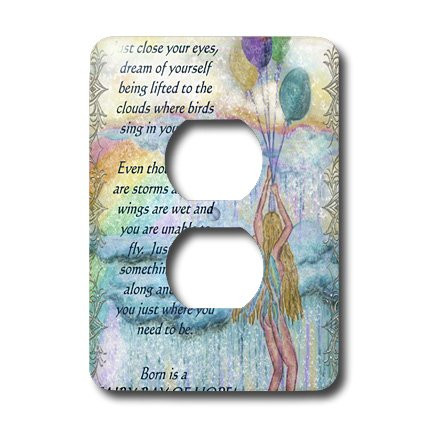 3dRose lsp_3623_6 Fairy's Magic Oasis 2 Plug Outlet Cover