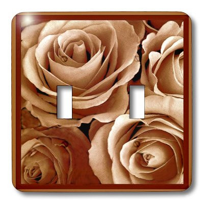 3dRose LLC lsp_29813_2 Close Up of Dreamy Pale Coffee Rose Bouquet Double Toggle Switch