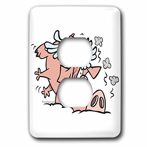 3dRose  lsp_104031_6 Funny Crash Landing Flying Pig 2 Plug Outlet Cover