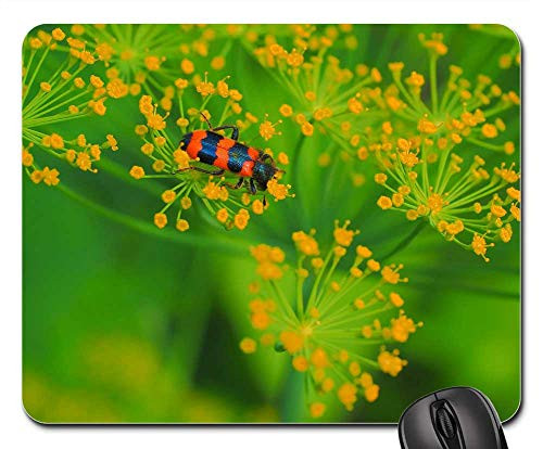 Mouse Pad - Nature Flower Plant Sheet Outdoors 1