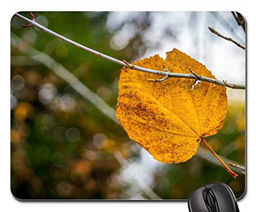 Mouse Pad - Nature Sheet Tree Outdoors Plant