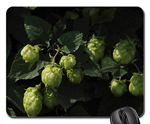 Mouse Pad - Food Fruit Sheet Nature Freshness Plant Shoots