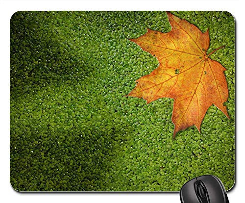Mouse Pad - Sheet Nature Pond Green Autumn Veins Yellow