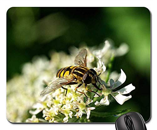 Mouse Pad - Macro Bug Nature Wings Fly Flower Leaves Sheet