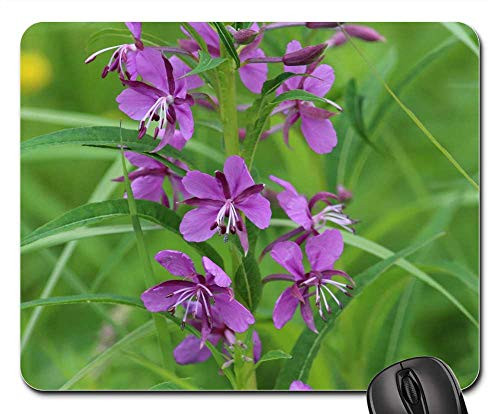 Mouse Pad - Flower Nature Plant Summer Sheet Shoots Ivan-Tea