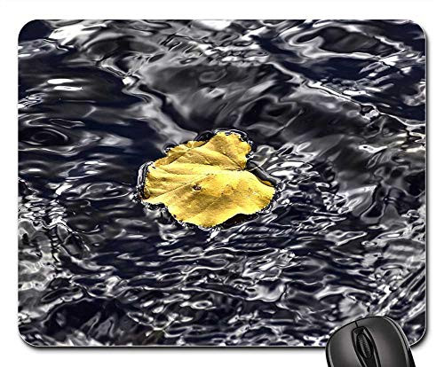 Mouse Pad - Sheet Water Nature Yellow Leaves Leaves Listopad