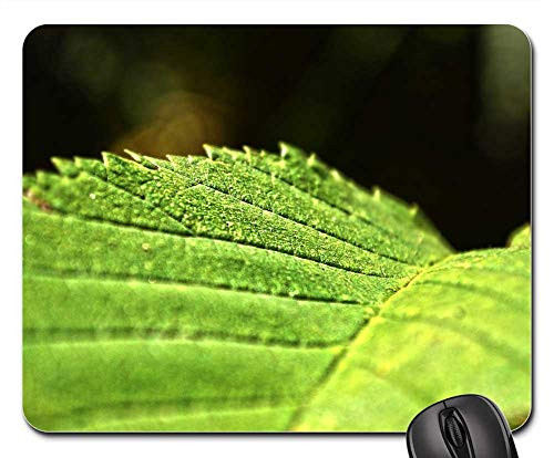 Mouse Pad - Nature Autumn Sheet Green Macro