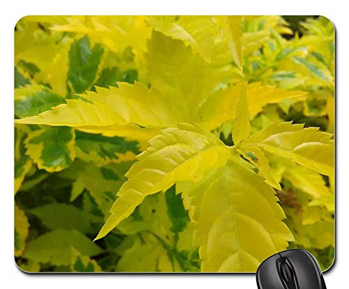 Mouse Pad - Yellow Sheet Leaf Yellow Nature Flora Plants