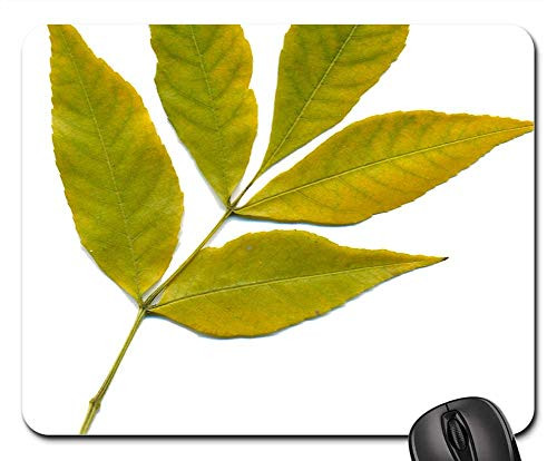 Mouse Pad - Sheet Autumn Leaf Yellow Leaves Nature Yellow