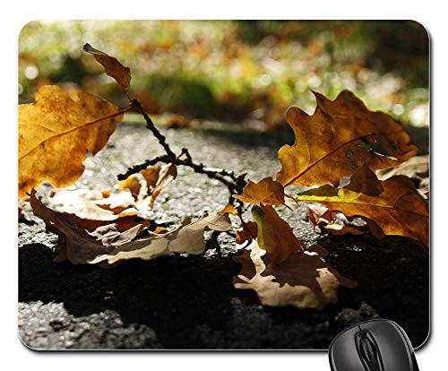 Mouse Pad - Dry Sheet Yellow Autumn Nature October Sunny Day