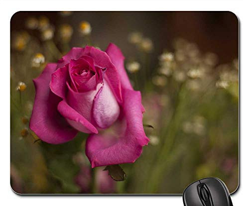 Mouse Pad - Flower Nature Plant Sheet Garden Rose Beautiful