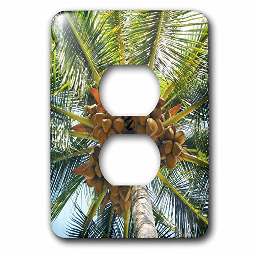 3dRose LSP_107120_6 Cacao Tree On The Big Island of Hawaii 2 Plug Outlet Cover, Multicolored