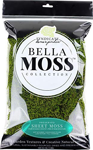 BELLA MOSS 140112070 Preserved Sheet Bag Moss, Green