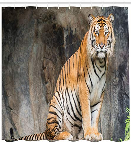 Ambesonne Zoo Shower Curtain, Bengal Tiger Feline Predator Aggressive Hunter Carnivore Africa Safari, Fabric Bathroom Decor Set with Hooks, 75 inches Long, Light Brown