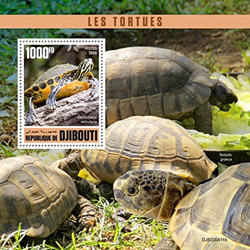 Djibouti - 2020 Chicken Turtles - Stamp Souvenir Sheet - DJB200411b