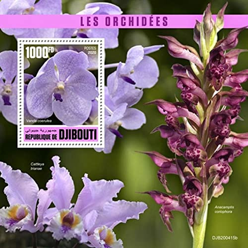 Djibouti - 2020 Vanda Coerulea Orchid - Stamp Souvenir Sheet - DJB200415b