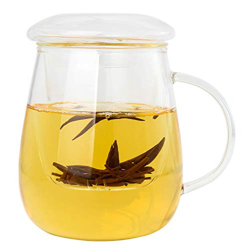 18 oz Glass Tea Mug,550 ml Clear Tea Cups with Lids and Infuser Basket,Borosilicate Glass Tea Infuser Cup for Office and Home Uses Loose Leaf Tea Steeping Mug,Glass Teapots,Clear Tea Mug for Gift