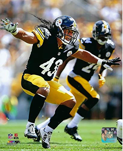 Troy Polamalu Pittsburgh Steelers Action Photo -Size: 8" x 10"-