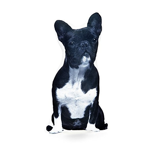 Cushion French Bulldog Black and White Shaped Pillow - with Real Life French Bulldog Size of 16" high x 12" Wide x 5" Deep Great Gift Idea for Dog Lovers Cushion French Bulldog Black and White Shaped Pillow - with Real Life French Bulldog Size of 16" high x 12" Wide x 5" Deep Great Gift Idea for Dog Lovers