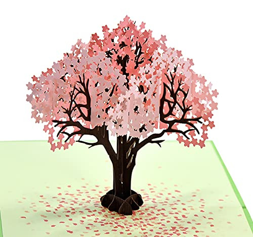 CUTPOPUP Cherry Blossom Pop Up Card Anniversary Card,pop Up Anniversary Card, Wedding Anniversary Card Pop Up, 3d Valentines Day Cards, Birthday Card For Wife CUTPOPUP Cherry Blossom Pop Up Card Anniversary Card,pop Up Anniversary Card, Wedding Anniversary Card Pop Up, 3d Valentines Day Cards, Birthday Card For Wife