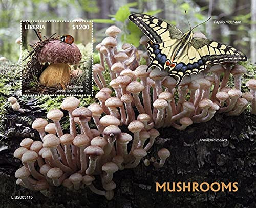 Liberia - 2020 Mushrooms and Insects - Stamp Souvenir Sheet - LIB200311b Liberia - 2020 Mushrooms and Insects - Stamp Souvenir Sheet - LIB200311b