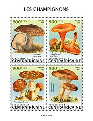 Central Africa - 2021 Mushrooms, Panther Cap - 4 Stamp Sheet - CA210205a