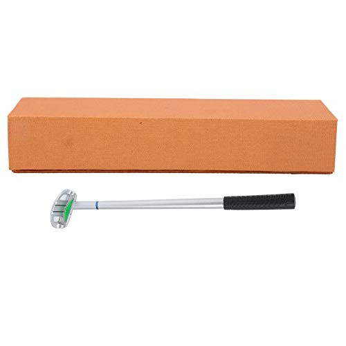 RiToEasysports Golf Putter Pen,Desktop Golf Pen with Storage Box Novelty Golfer Decor Gift Present Ornament Souvenir for Golfers