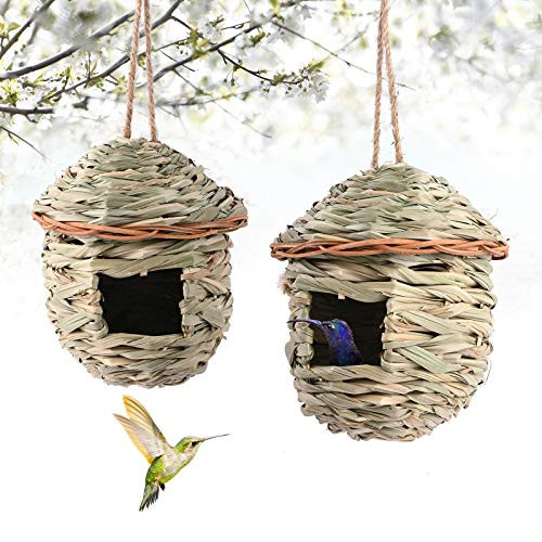 Mrs.keng Hummingbird House for Outside Hanging,Grass Hand Woven Birdhouses for Outdoors Hanging, Natural Bird Hut for Outside, Bird Houses for Audubon Finch Canary Chickadee.2Pack Mrs.keng Hummingbird House for Outside Hanging,Grass Hand Woven Birdhouses for Outdoors Hanging, Natural Bird Hut for Outside, Bird Houses for Audubon Finch Canary Chickadee.2Pack