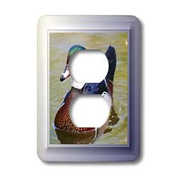 3dRose lsp_26668_6 Wood Duck Outlet Cover Multi-Color