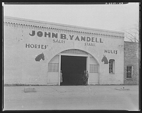 HistoricalFindings Photo: Mississippi Stable,MS,John B. Yandell Sales Stable,Farm Security Admin,FSA HistoricalFindings Photo: Mississippi Stable,MS,John B. Yandell Sales Stable,Farm Security Admin,FSA