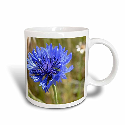 3dRose Blue Cornflower Ceramic Mug, 11-Ounce